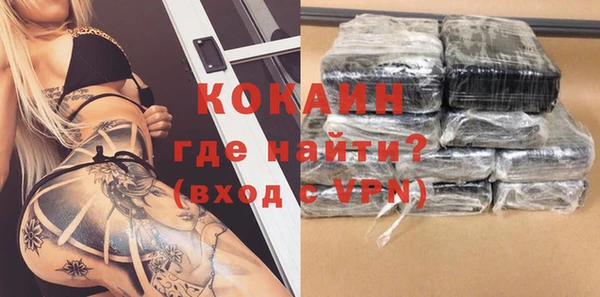 ГАЛЛЮЦИНОГЕННЫЕ ГРИБЫ Корсаков